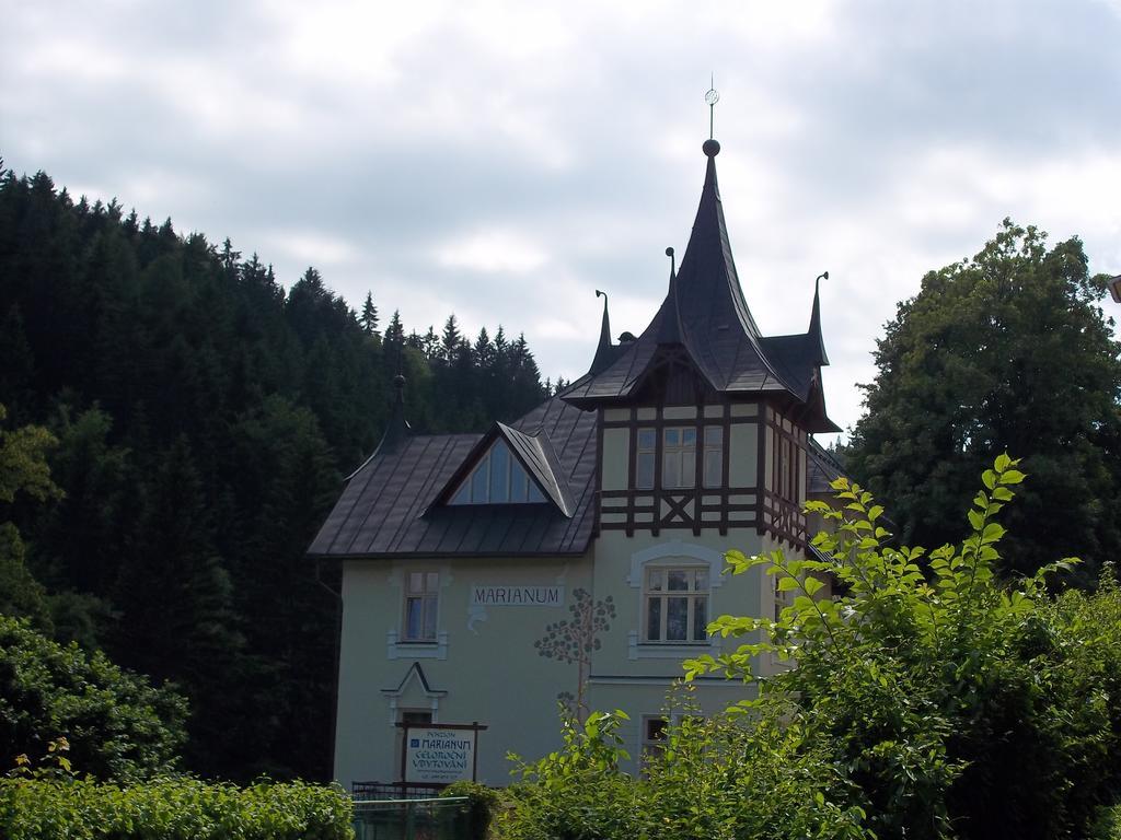 Hotel Marianum Jl,S.R.O. Janské Lázně Exteriér fotografie
